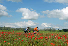 Italy-Puglia/Basilicata-Castles and Wine Tour in Basilicata and Apulia